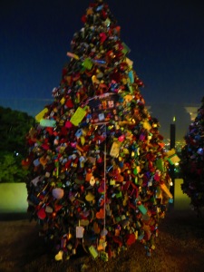 A locket-covered tree. This is probably really bad for the tree but whatever. 